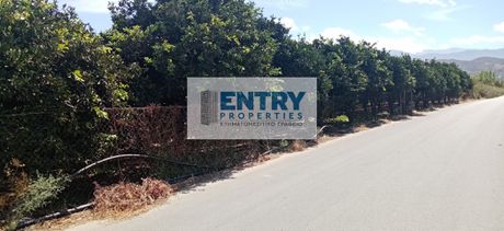 Land plot 4.005sqm for sale-Therisos » Agia