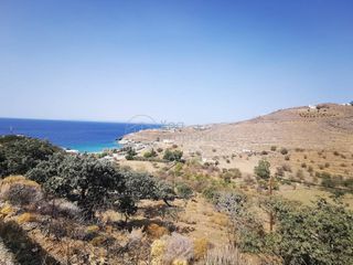 Αγροτεμάχια 11.177 τ.μ. για πώληση