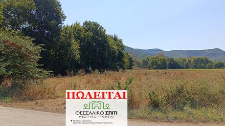 Αγροτεμάχια 1.900τ.μ. για πώληση-Ιθώμης » Κέντρο