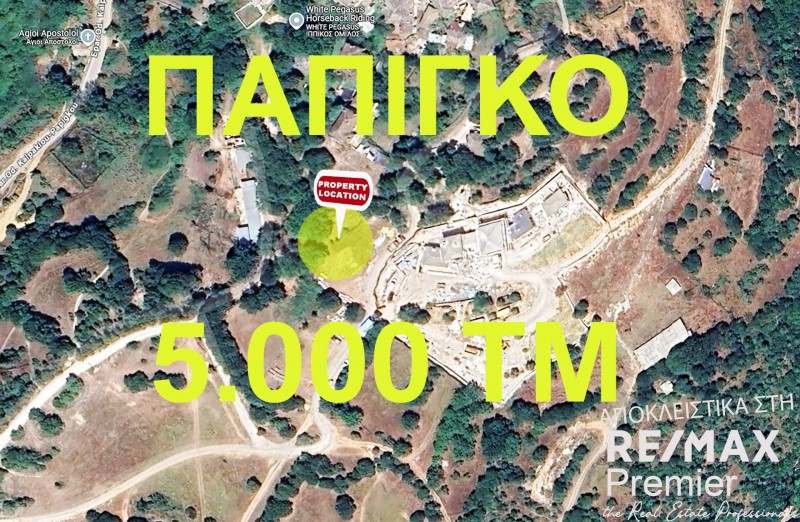 Αγροτεμάχια 5.000 τ.μ. πρός πώληση, Ν. Ιωαννίνων, Πάπιγκο