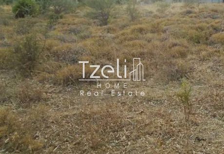 Land plot 4.174sqm for sale-Paiania » Trigono Lagou