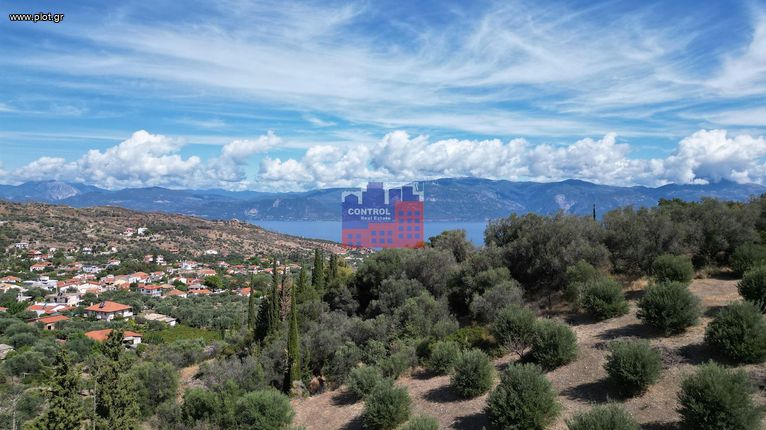 Parcel 2.203 sqm for sale, Achaia, Erineo