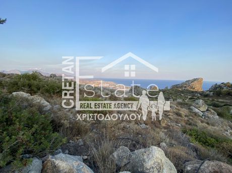 Αγροτεμάχια 18.000τ.μ. για πώληση-Ιεράπετρα » Νέα ανατολή