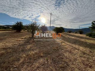 Οικόπεδο 4.343 τ.μ. για πώληση, Αχαΐα, Πάτρα-thumb-23