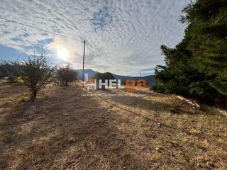 Οικόπεδο 4.343 τ.μ. για πώληση, Αχαΐα, Πάτρα-thumb-21