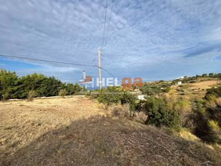 Οικόπεδο 4.343 τ.μ. για πώληση, Αχαΐα, Πάτρα-thumb-22