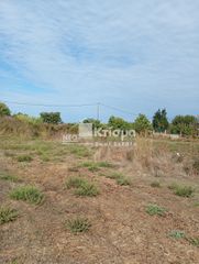 Οικόπεδο 2.320 τ.μ. για πώληση