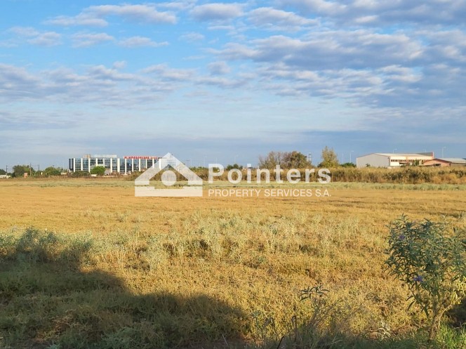 Αγροτεμάχια 9.362 τ.μ. προς πώληση, Σίνδος