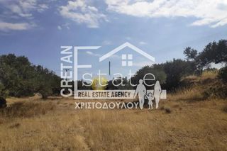Αγροτεμάχια 7.600 τ.μ. πρός πώληση, Ν. Λασιθίου, Ιεράπετρα-thumb-14