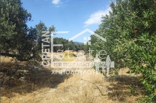 Αγροτεμάχια 7.600 τ.μ. πρός πώληση, Ν. Λασιθίου, Ιεράπετρα-thumb-18