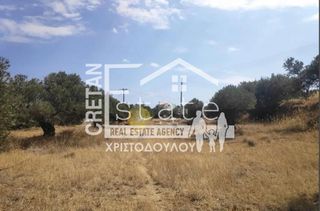 Αγροτεμάχια 7.600 τ.μ. πρός πώληση, Ν. Λασιθίου, Ιεράπετρα-thumb-12