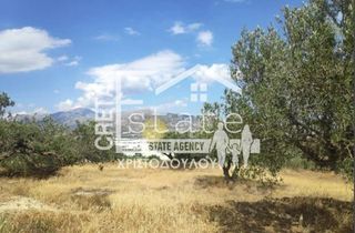 Αγροτεμάχια 7.600 τ.μ. πρός πώληση, Ν. Λασιθίου, Ιεράπετρα-thumb-8