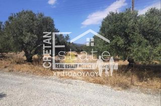 Αγροτεμάχια 7.600 τ.μ. πρός πώληση, Ν. Λασιθίου, Ιεράπετρα-thumb-19