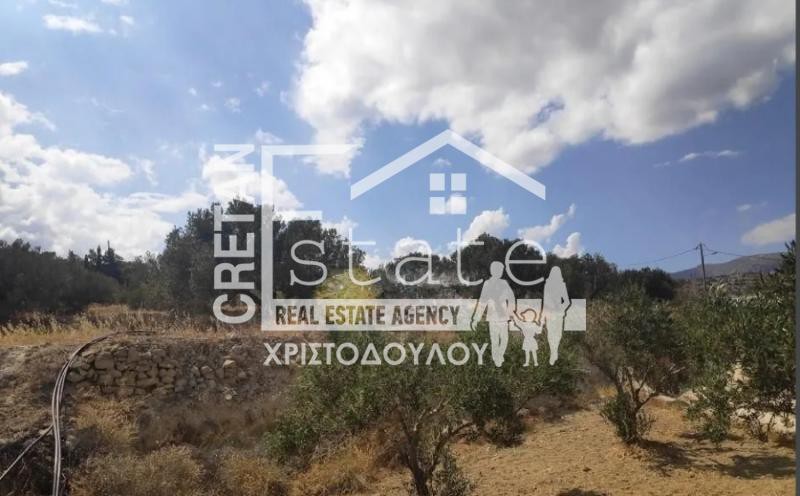 Αγροτεμάχια 7.600 τ.μ. πρός πώληση, Ν. Λασιθίου, Ιεράπετρα