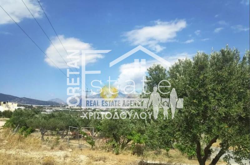 Αγροτεμάχια 7.600 τ.μ. πρός πώληση, Ν. Λασιθίου, Ιεράπετρα