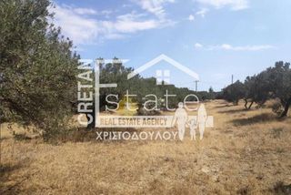 Αγροτεμάχια 7.600 τ.μ. πρός πώληση, Ν. Λασιθίου, Ιεράπετρα-thumb-11