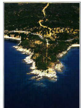 Αγροτεμάχια 14.003 τ.μ. για πώληση