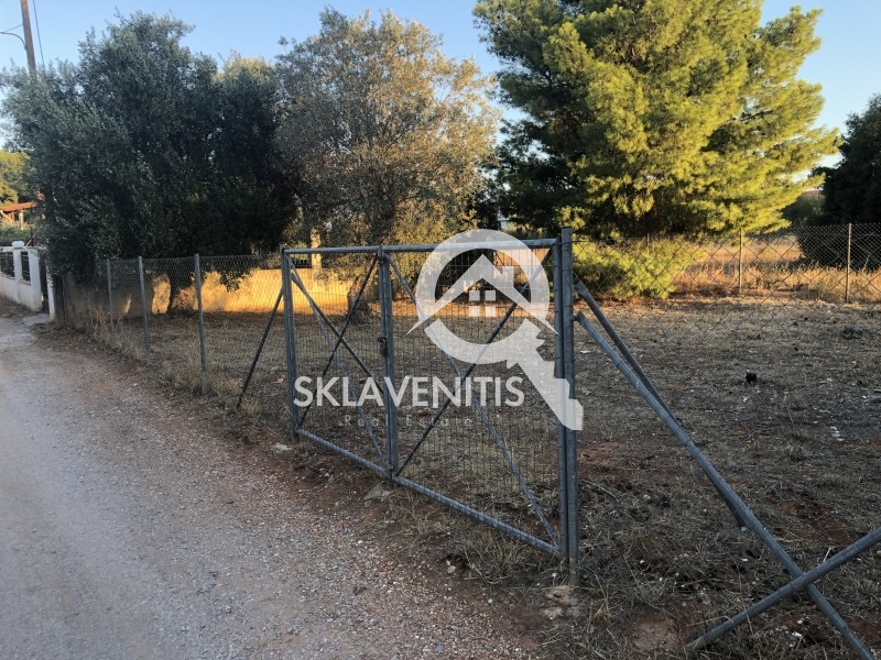 Οικόπεδο 511 τ.μ. πρός πώληση, Αθήνα - Ανατολικά Προάστια, Αρτέμιδα (λούτσα)