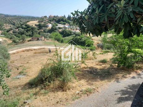 Land plot 1.700sqm for sale-Sithonia » Agios Nikolaos