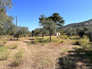 Αγροτεμάχια 5.775 τ.μ. για πώληση, Ν. Καβάλας, Θάσος-thumb-2