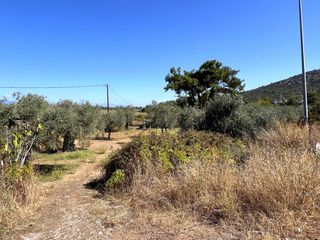 Αγροτεμάχια 5.775 τ.μ. για πώληση, Ν. Καβάλας, Θάσος-thumb-1