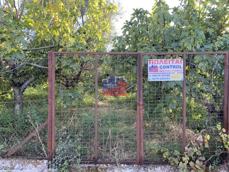 Αγροτεμάχια 2.000 τ.μ. για πώληση