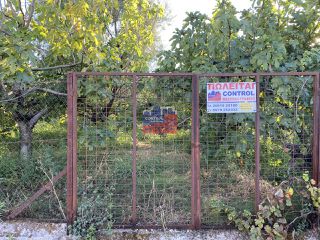 Αγροτεμάχια 2.000 τ.μ. για πώληση