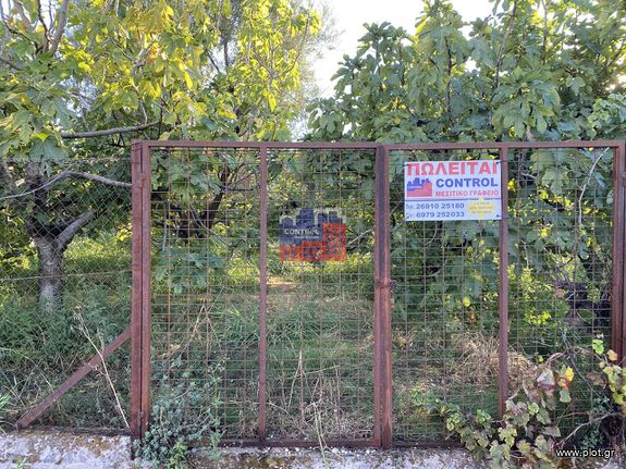 Αγροτεμάχια 2.000 τ.μ. για πώληση, Αχαΐα, Αίγιο