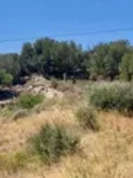 Οικόπεδο 12.600 τ.μ. για πώληση