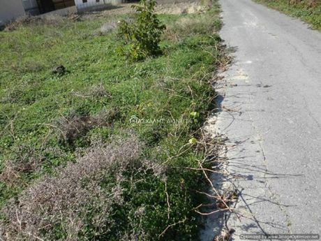 Οικόπεδο 1.200τ.μ. για πώληση-Τέμενος » Μαλάδες