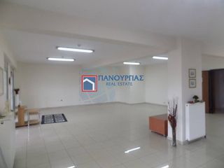 Γραφείο 167 τ.μ. για ενοικίαση, Φθιώτιδας, Στυλίδα-thumb-9