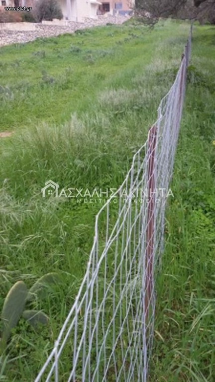 Οικόπεδο 1.400 τ.μ. προς πώληση, Πρασσάς