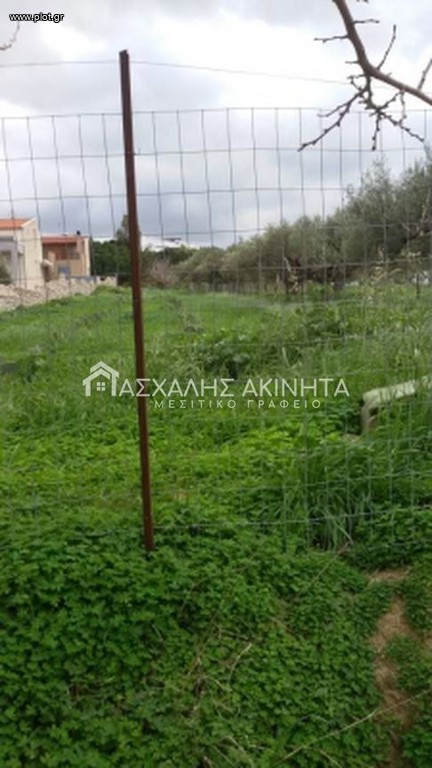 Οικόπεδο 1.400 τ.μ. προς πώληση, Πρασσάς