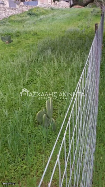 Οικόπεδο 1.400 τ.μ. προς πώληση, Πρασσάς