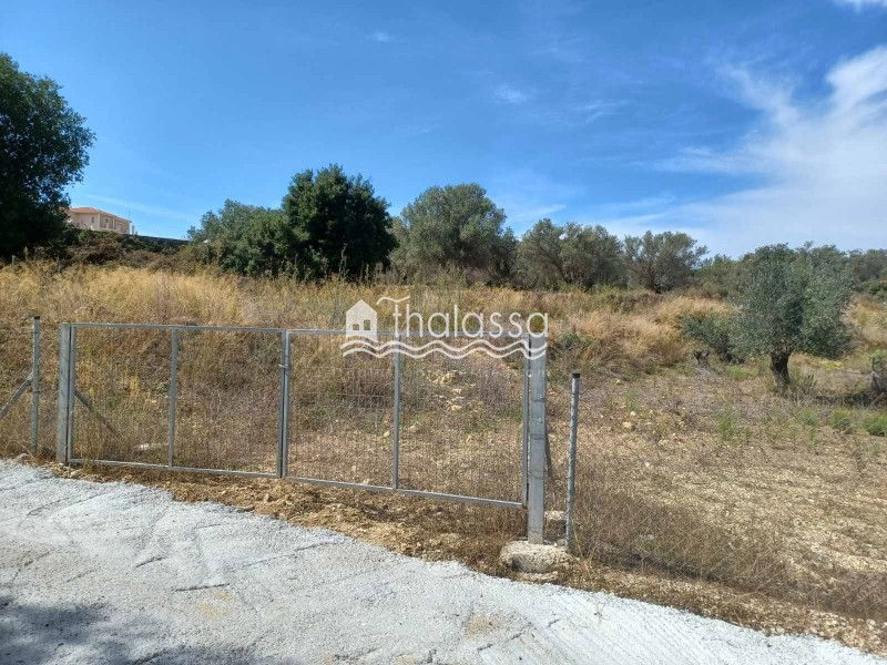 Οικόπεδο 1.147 τ.μ. προς πώληση, Λειβαθώ