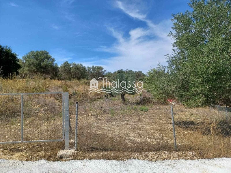 Οικόπεδο 1.147 τ.μ. προς πώληση, Λειβαθώ