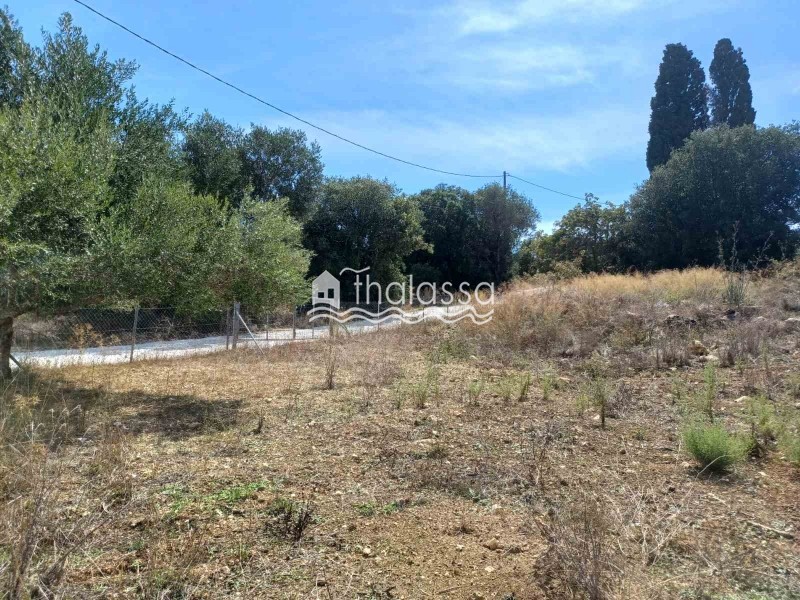 Οικόπεδο 1.147 τ.μ. προς πώληση, Λειβαθώ