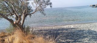Αγροτεμάχια 633 τ.μ. για πώληση, Ν. Λασιθίου, Ιεράπετρα-thumb-5