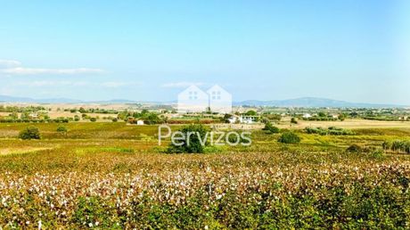 Αγροτεμάχια 11.000τ.μ. για πώληση-Επανομή » Κέντρο