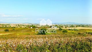 Αγροτεμάχια 11.000 τ.μ. για πώληση