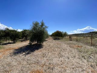 Οικόπεδο 946 τ.μ. προς πώληση, Άγιος Αδριανός-thumb-8