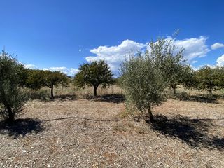 Οικόπεδο 946 τ.μ. προς πώληση, Άγιος Αδριανός-thumb-15