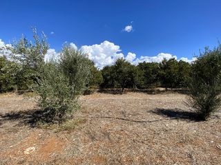 Οικόπεδο 946 τ.μ. προς πώληση, Άγιος Αδριανός-thumb-19