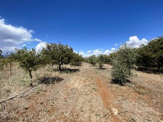 Οικόπεδο 946 τ.μ. προς πώληση, Άγιος Αδριανός-thumb-21