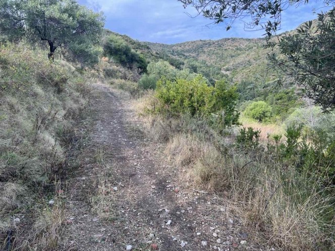 Αγροτεμάχια 15.000 τ.μ. προς πώληση, Ελειός - Πρόννοι