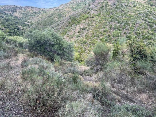 Αγροτεμάχια 15.000 τ.μ. προς πώληση, Ελειός - Πρόννοι