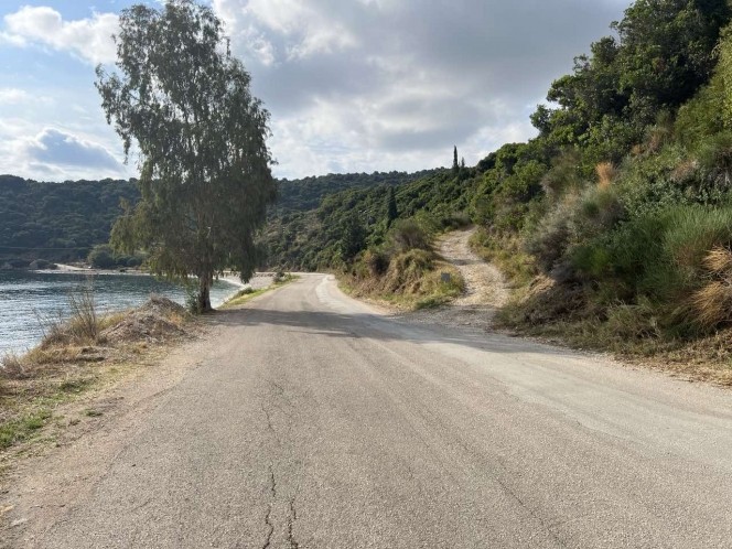 Αγροτεμάχια 10.000 τ.μ. προς πώληση, Ελειός - Πρόννοι