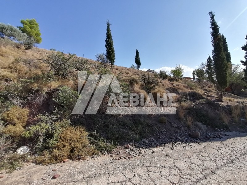 Οικόπεδο 2.638 τ.μ. προς πώληση, Πόλη Χίου