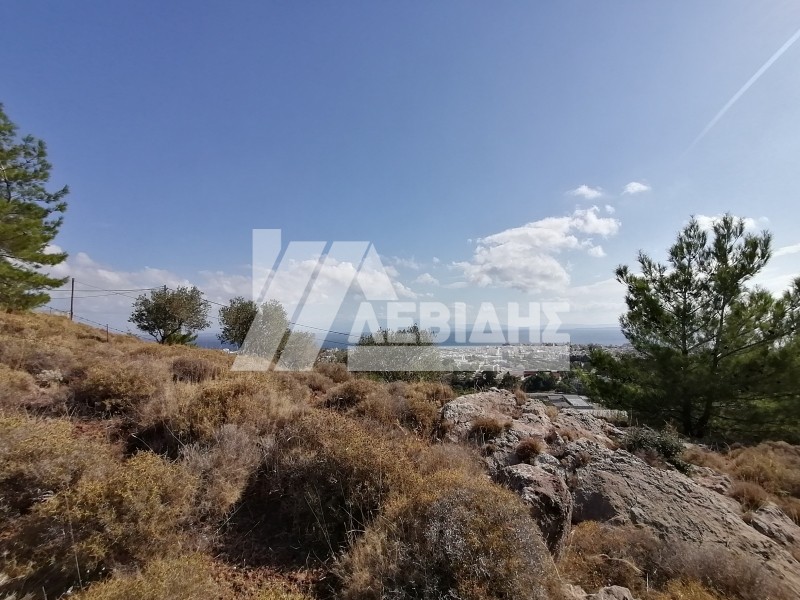 Οικόπεδο 2.638 τ.μ. προς πώληση, Πόλη Χίου