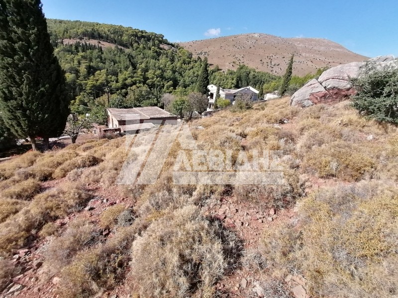 Οικόπεδο 2.638 τ.μ. προς πώληση, Πόλη Χίου